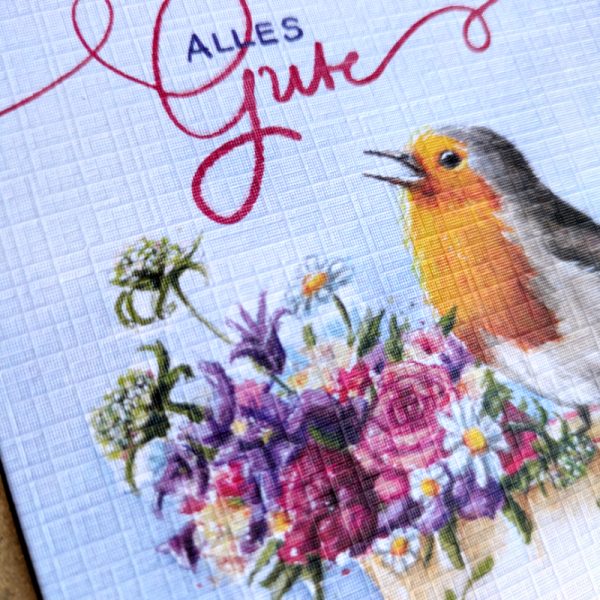 rotkehlchen details leinenpapier